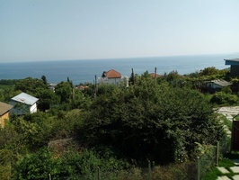 IMG-20250206-WA0043