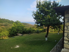 IMG-20250206-WA0066