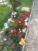 IMG-20250206-WA0067