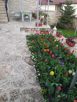 IMG-20250206-WA0078
