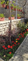IMG-20250206-WA0103