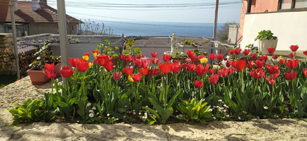 IMG-20250206-WA0102