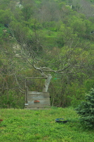 IMG 0645